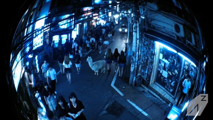 Lost in Tokyo