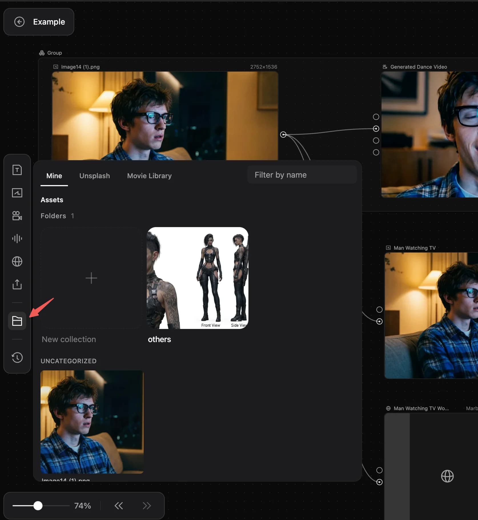Asset Library panel